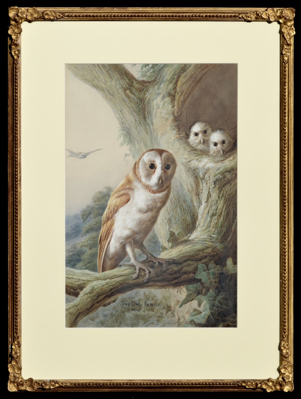 A Victorian watercolour painting titled The Owl Family depicting an adult barn owl perched on an ivy-clad tree branch beside a nest with two chicks. View VI