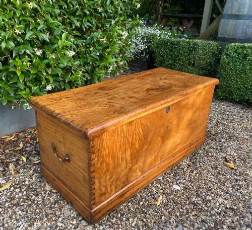 19th century camphor wood trunk or chest - CATEGORY: ANTIQUE CHESTS - DATED 19TH CENTURY