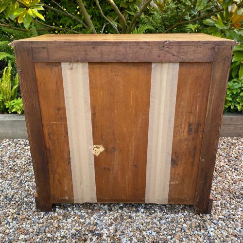 19TH CENTURY COLLECTORS CHEST OR CABINET - ADDITIONAL PHOTO 3