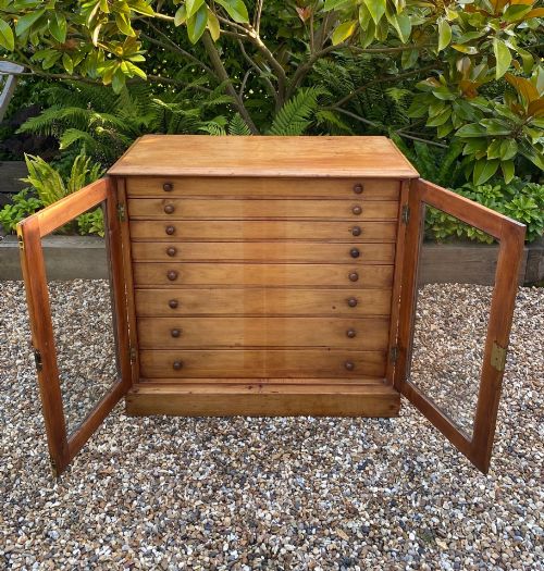 19TH CENTURY COLLECTORS CHEST OR CABINET - ADDITIONAL PHOTO 4