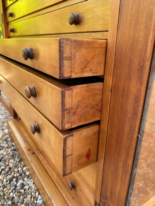 19TH CENTURY COLLECTORS CHEST OR CABINET - ADDITIONAL PHOTO 5