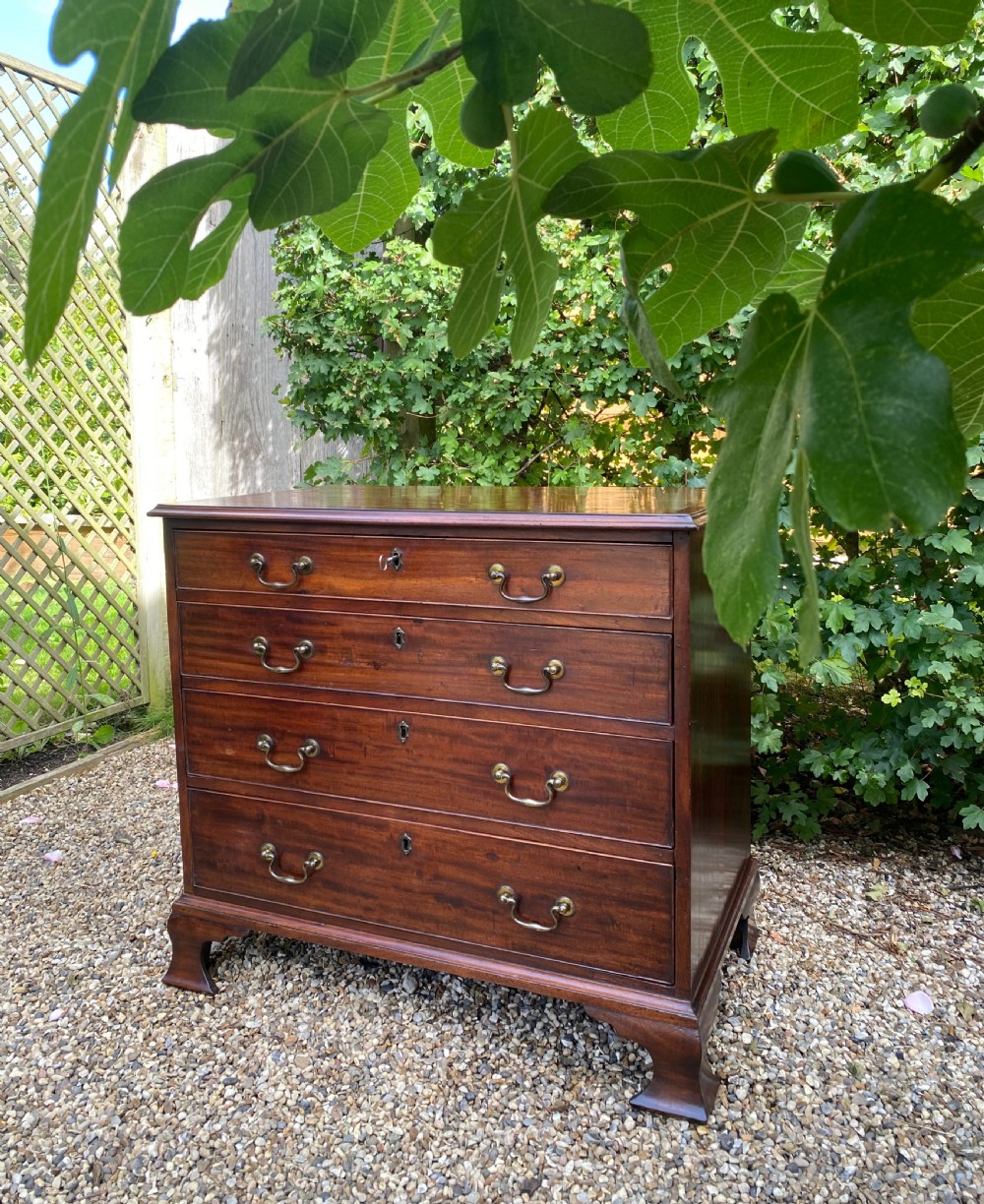 Georgian Solid Mahogany Chest Of Drawers Of Small Proportions With Ogee Feet & Swan Neck Handles View VIII