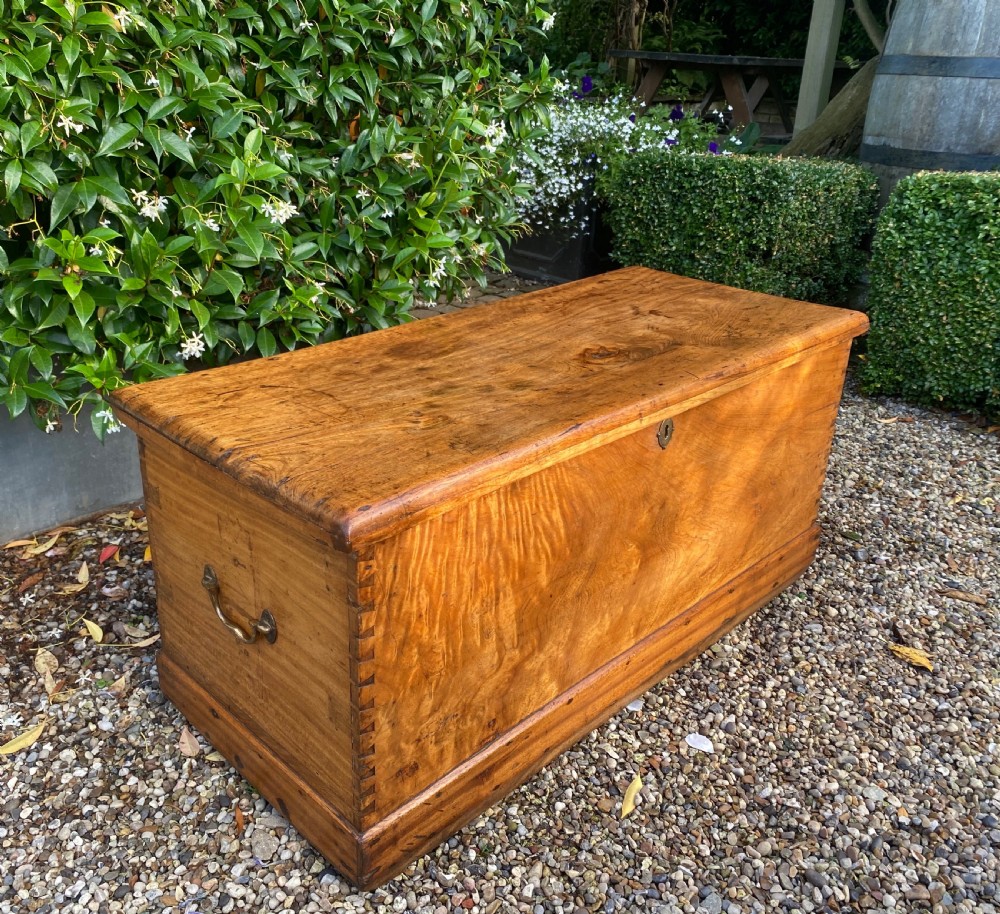 19th Century Camphor Wood Trunk Or Chest