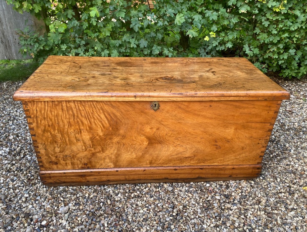19th Century Camphor Wood Trunk Or Chest View II