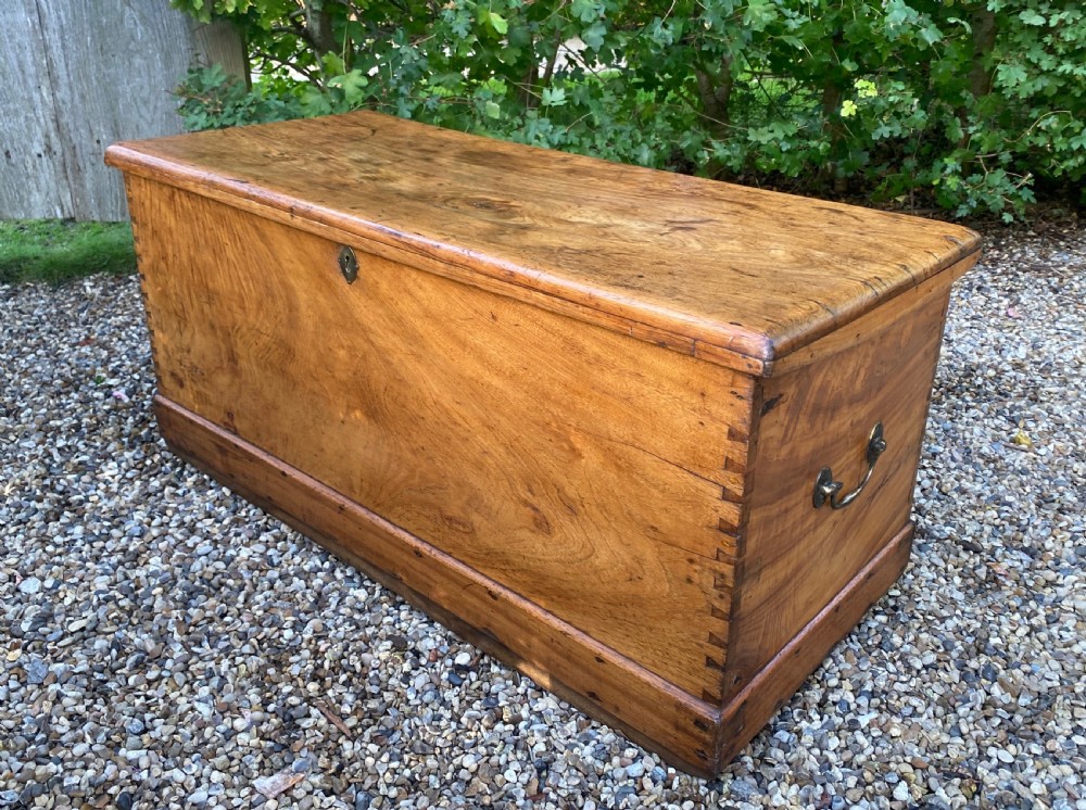 19th Century Camphor Wood Trunk Or Chest View III