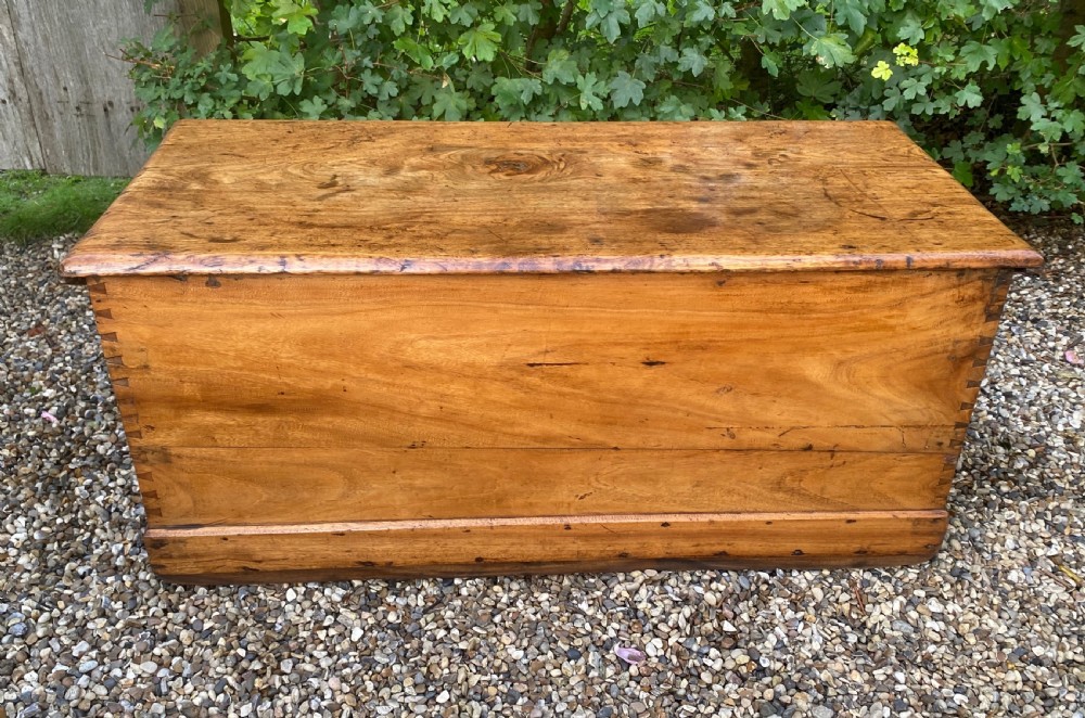 19th Century Camphor Wood Trunk Or Chest View IV