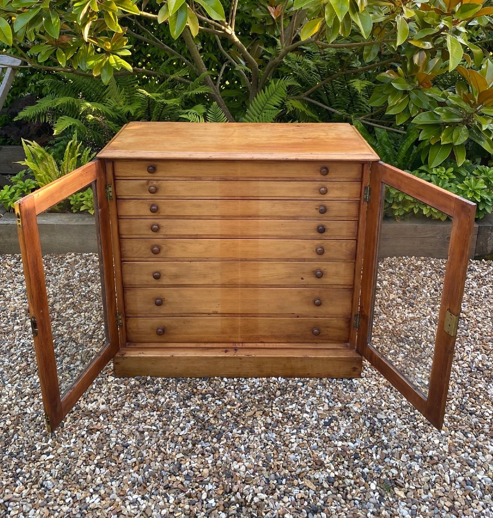 19th Century Collector’s Chest Or Cabinet View V