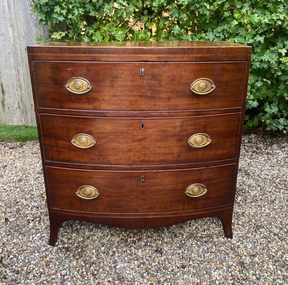 An early nineteenth-century bow-fronted mahogany chest featuring three graduated drawers with brass oval drop handles and a satinwood crossbanded caddy top. View II