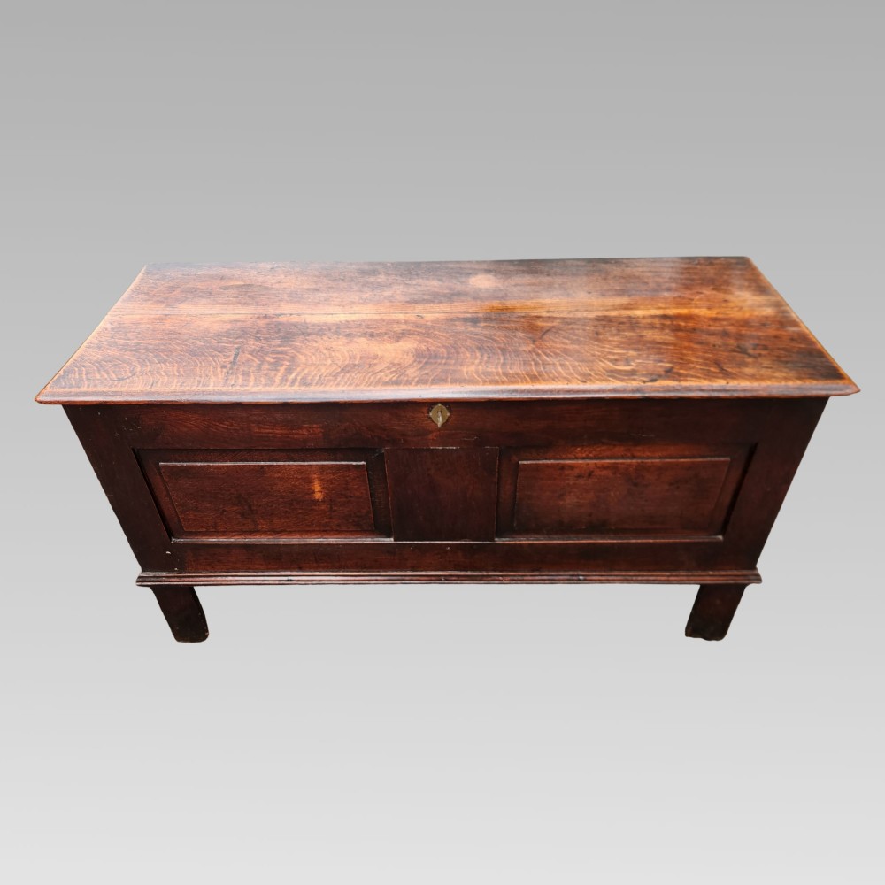 A 19th-century dark oak storage coffer featuring a hinged flat lid, panelled front construction, and a central brass keyhole escutcheon.