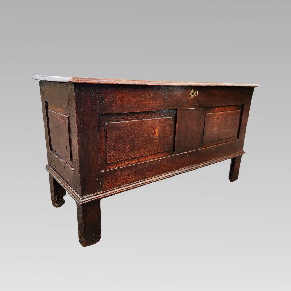 A 19th-century dark oak storage coffer featuring a hinged flat lid, panelled front construction, and a central brass keyhole escutcheon. View II