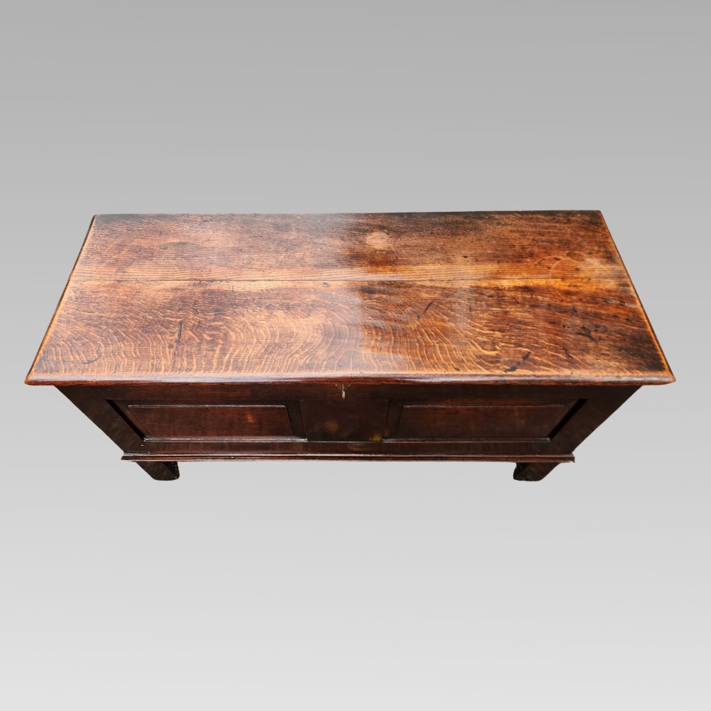 A 19th-century dark oak storage coffer featuring a hinged flat lid, panelled front construction, and a central brass keyhole escutcheon. View III
