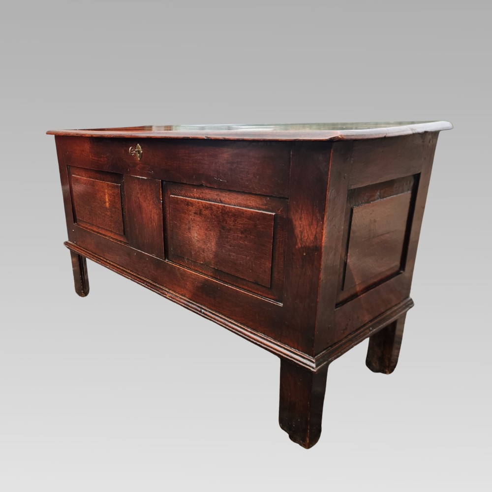 A 19th-century dark oak storage coffer featuring a hinged flat lid, panelled front construction, and a central brass keyhole escutcheon. View VI