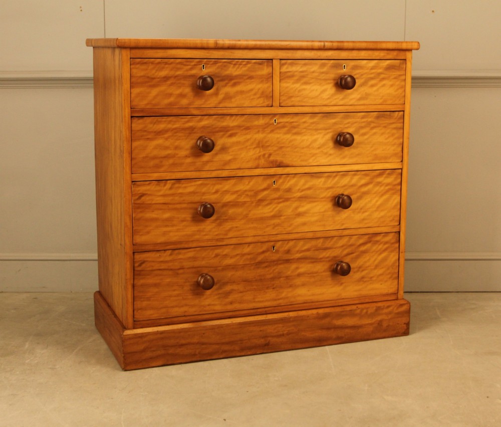 A Victorian stained birch chest of drawers featuring a two short over three long drawer configuration with turned wooden knobs and a solid plinth base.
