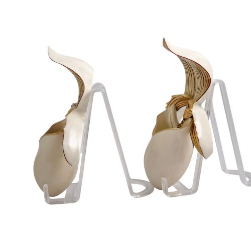 fig 1. A pair of 1886 Royal Worcester ivory porcelain wall pockets shaped like ladys slipper orchids with gold gilded highlights.