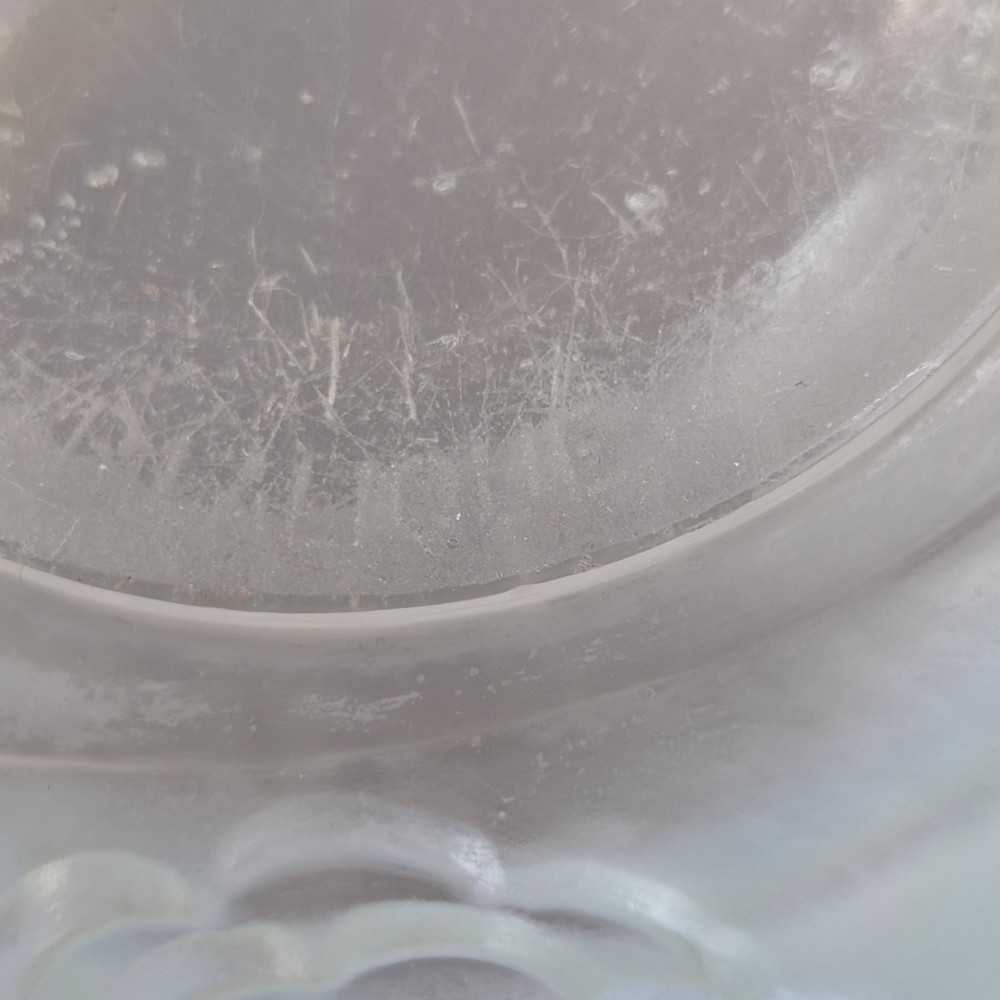 A French opalescent glass vase featuring a flared frosted neck and a rounded base carved with raised ranunculus floral motifs. View XII