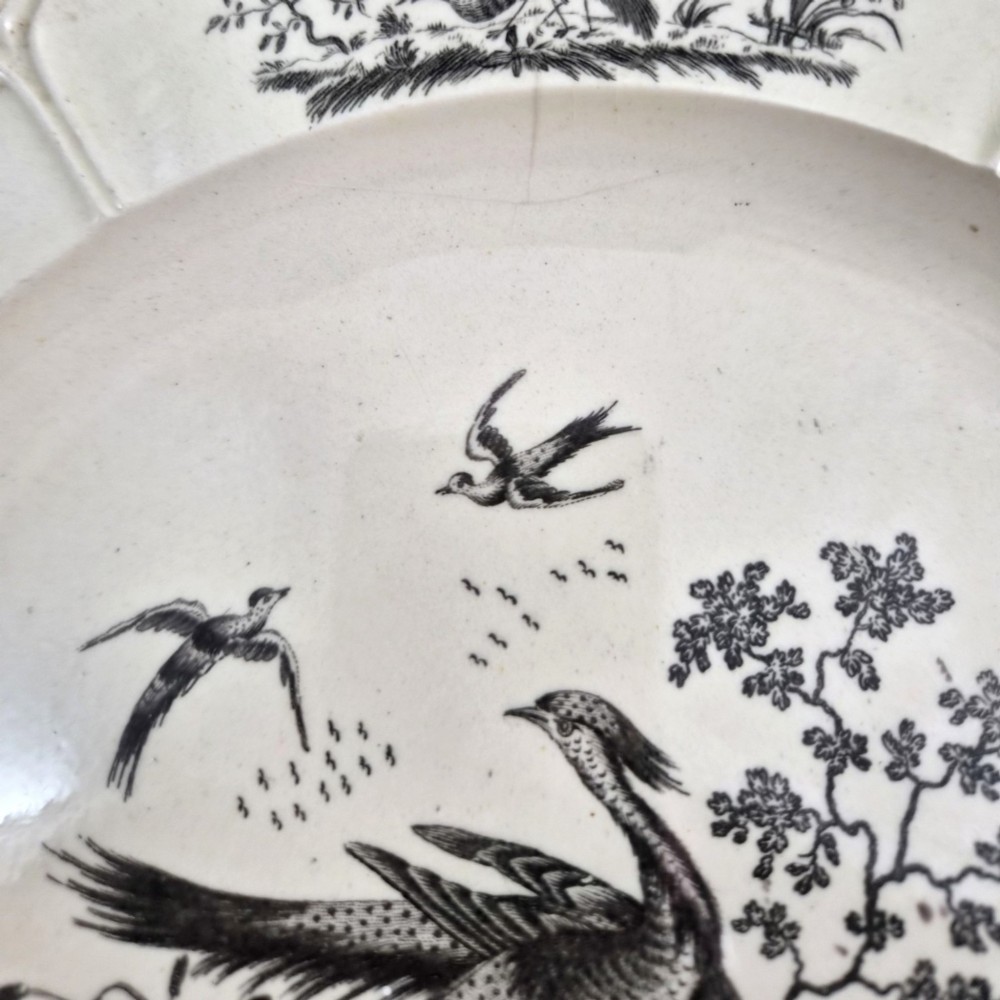A pair of round cream-coloured earthenware plates featuring monochrome transfer prints of birds and moulded scalloped rims. View XI
