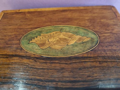 GEORGIAN ROSEWOOD AND SHELL INLAY CADDY C 1820 - ADDITIONAL PHOTO 7