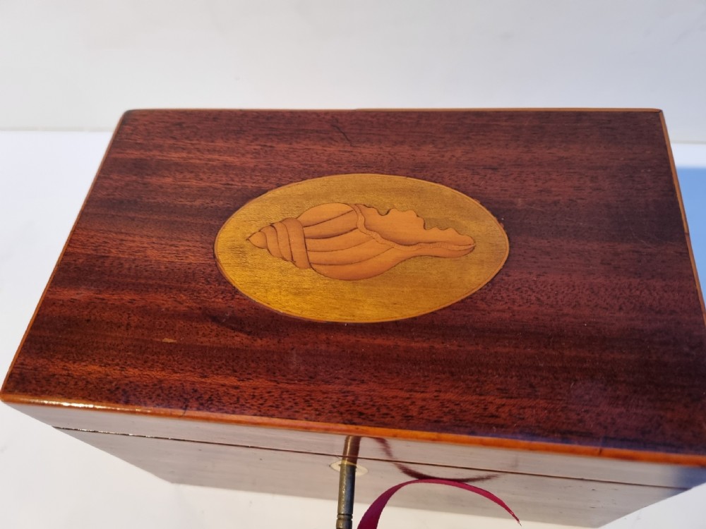 Georgian mahogany shell inlaid caddy c 1820 View II