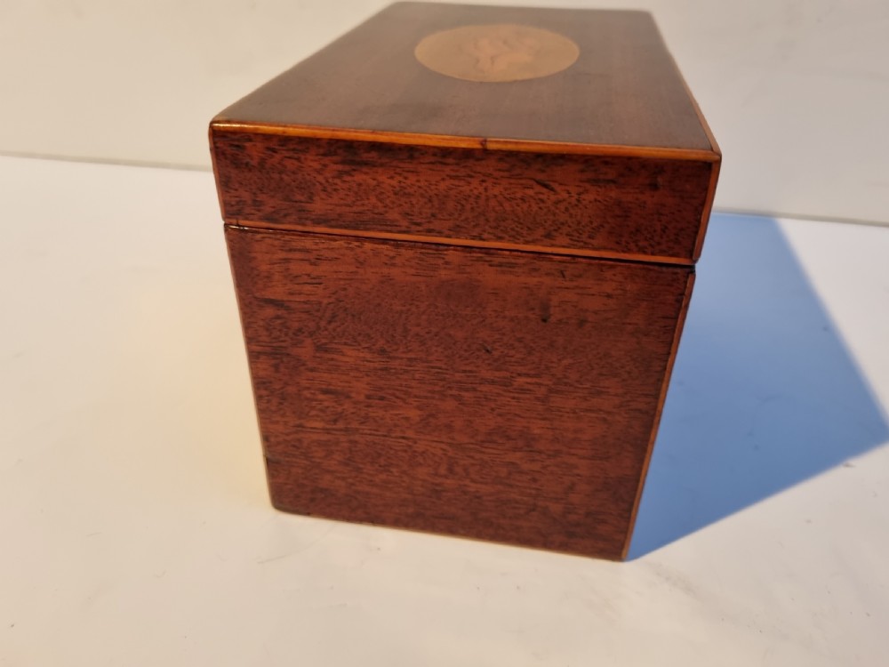 Georgian mahogany shell inlaid caddy c 1820 View III