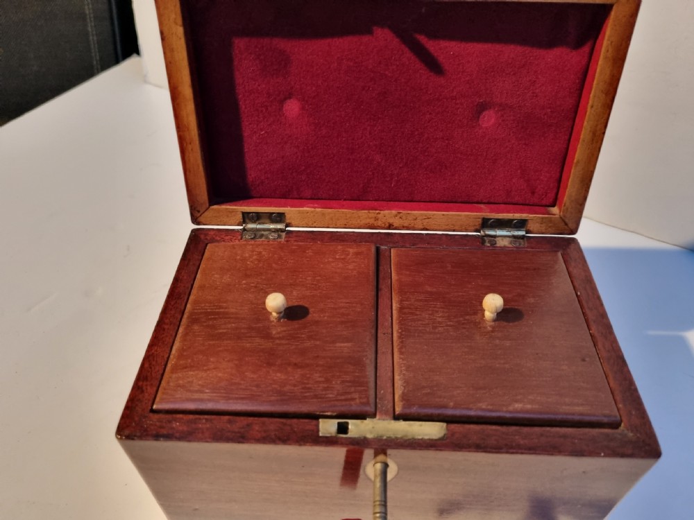 Georgian mahogany shell inlaid caddy c 1820 View VII