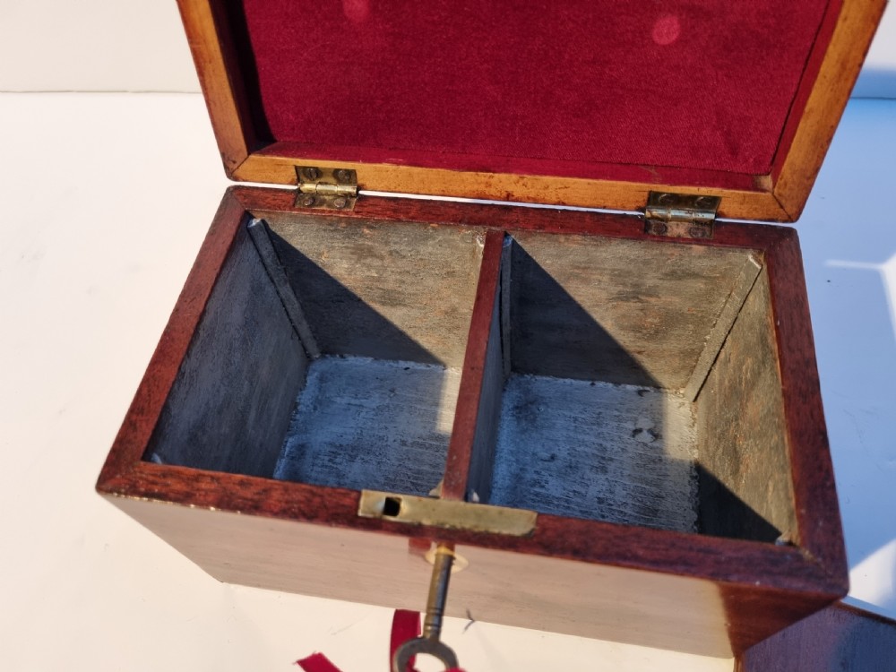 Georgian mahogany shell inlaid caddy c 1820 View VIII
