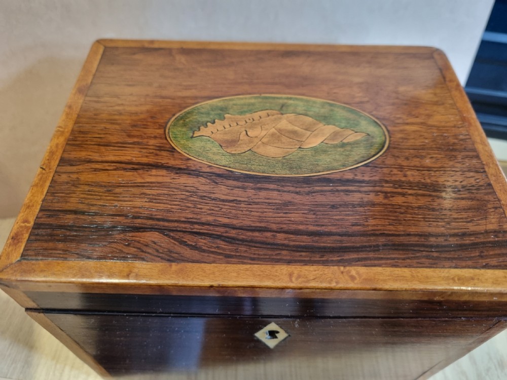 A rectangular dark rosewood tea caddy featuring a lid inlaid with an oval shell motif and a diamond-shaped bone keyhole escutcheon on the front face. View II