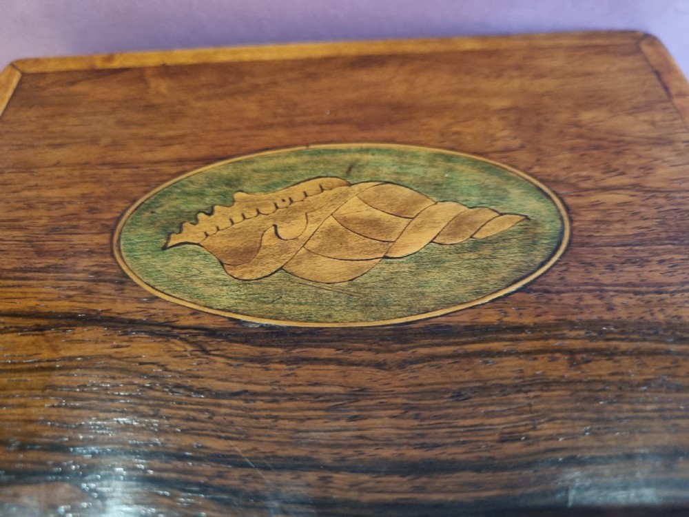 A rectangular dark rosewood tea caddy featuring a lid inlaid with an oval shell motif and a diamond-shaped bone keyhole escutcheon on the front face. View VIII