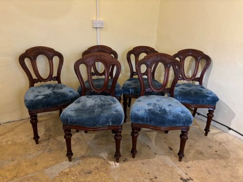 A Set of Six Victorian Mahogany Balloon Back Dining Chairs .