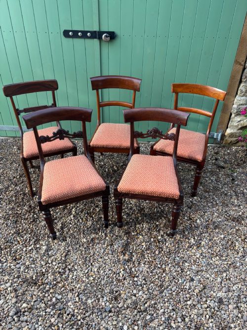 A Group of Five Early 19thc Mahogany and Rosewood Dining Chairs