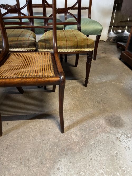 A GROUP OF SIX REGENCY DINING CHAITS - ADDITIONAL PHOTO 3