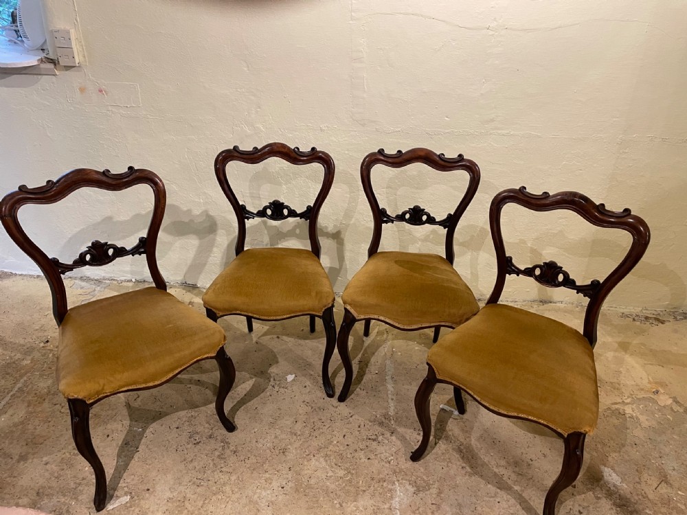 Victorian Rosewood Balloon Back Dining Chairs View II