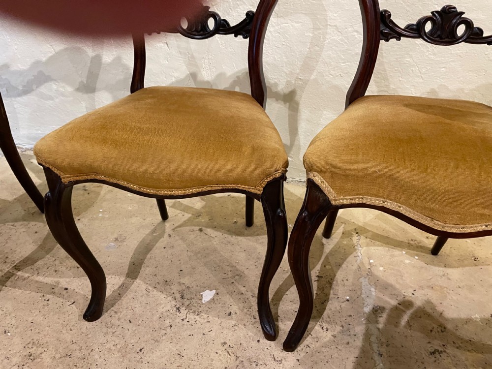 Victorian Rosewood Balloon Back Dining Chairs View IV