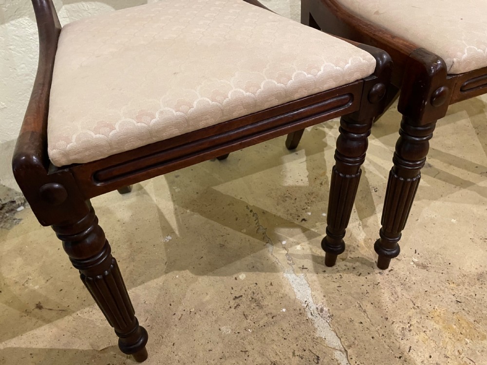 William 1V mahogany dining chairs View III