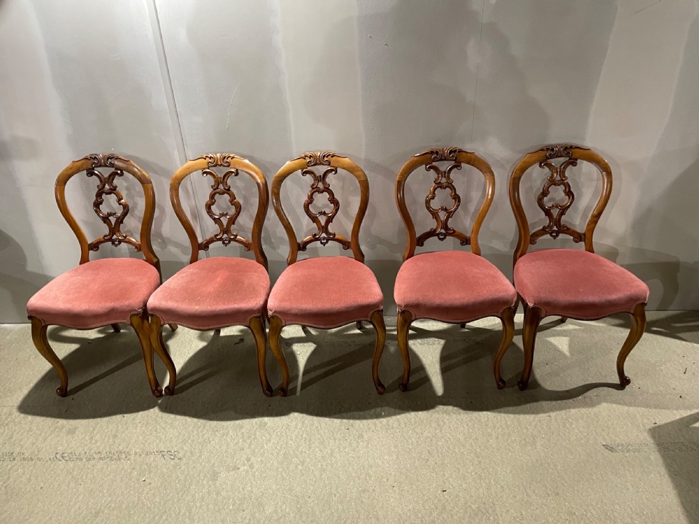 A set of five Victorian walnut dining chairs featuring open carved balloon backframes and pink velvet upholstered seats.