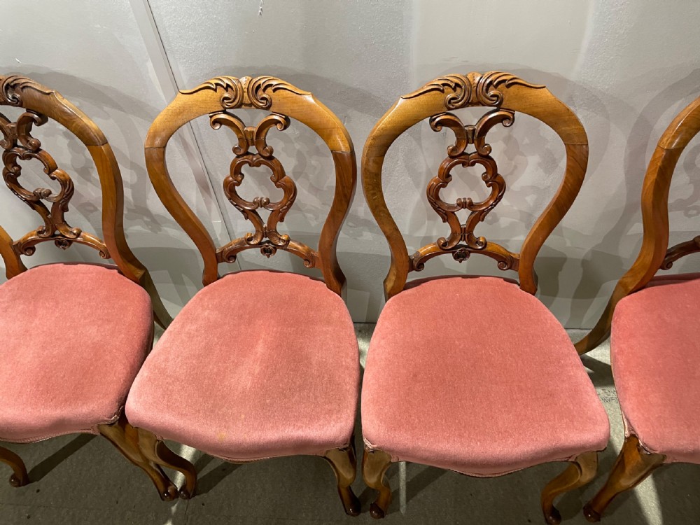 A set of five Victorian walnut dining chairs featuring open carved balloon backframes and pink velvet upholstered seats. View II