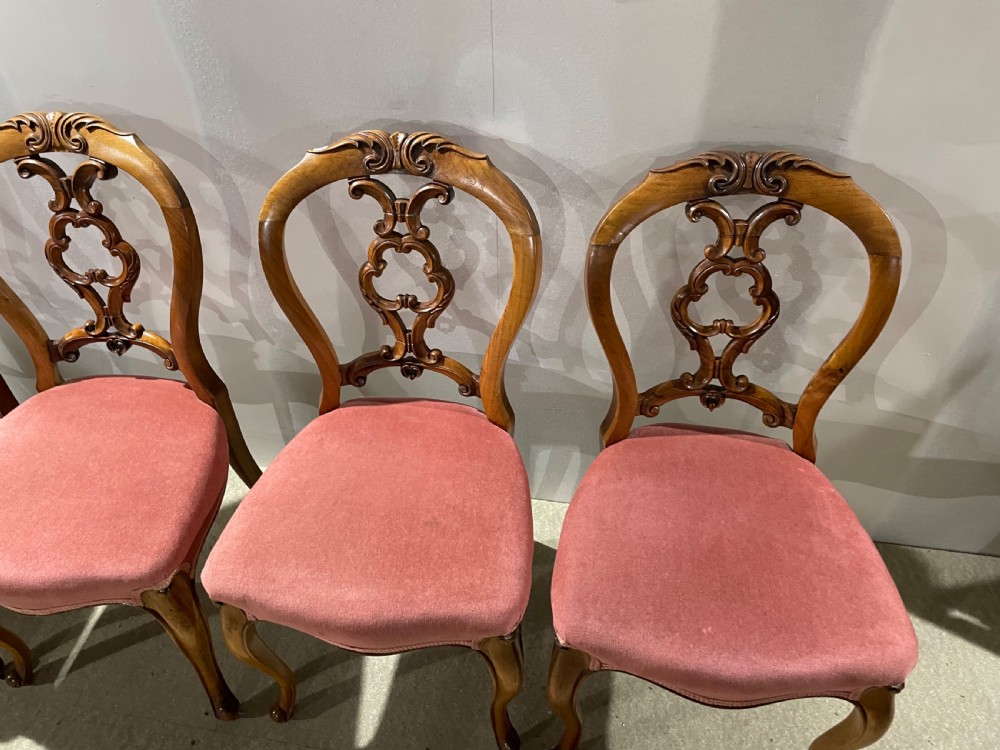 A set of five Victorian walnut dining chairs featuring open carved balloon backframes and pink velvet upholstered seats. View III