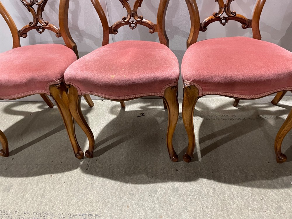 A set of five Victorian walnut dining chairs featuring open carved balloon backframes and pink velvet upholstered seats. View IV