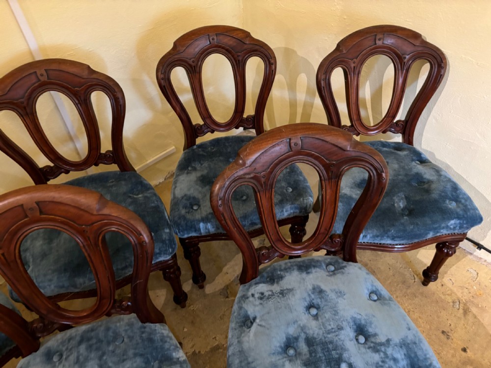 A set of six Victorian mahogany balloon back dining chairs .  View II
