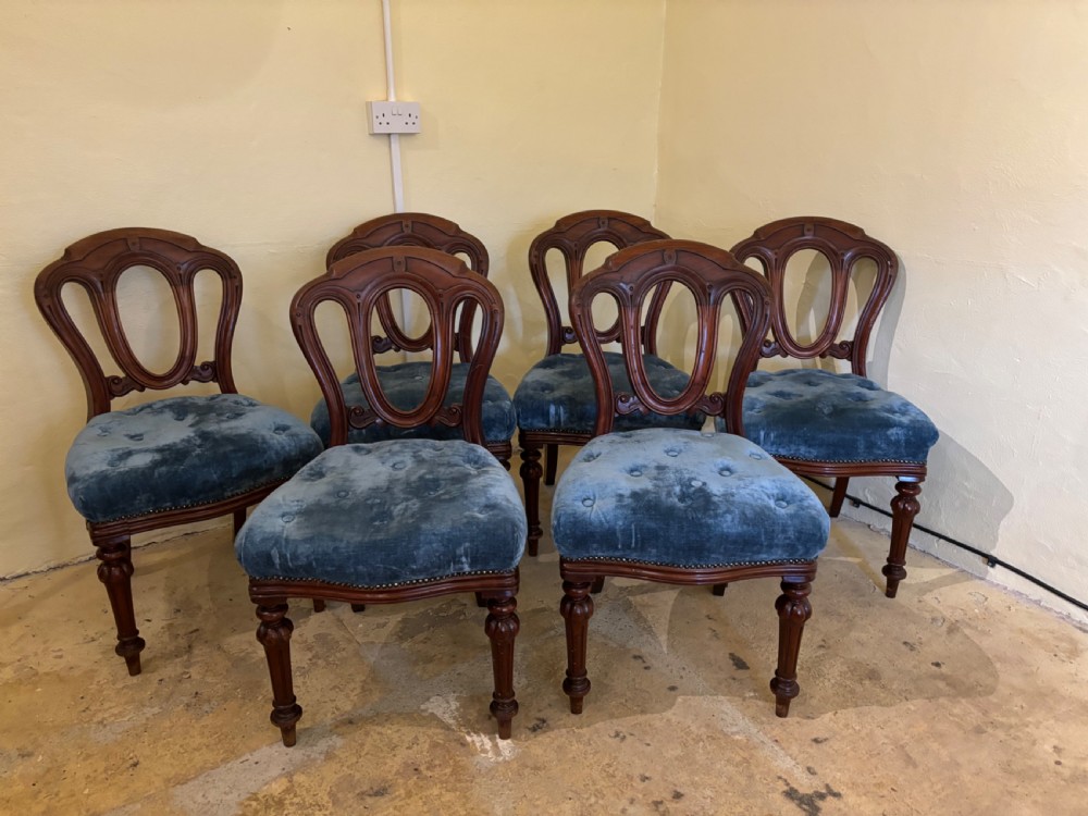 A set of six Victorian mahogany balloon back dining chairs .  View III