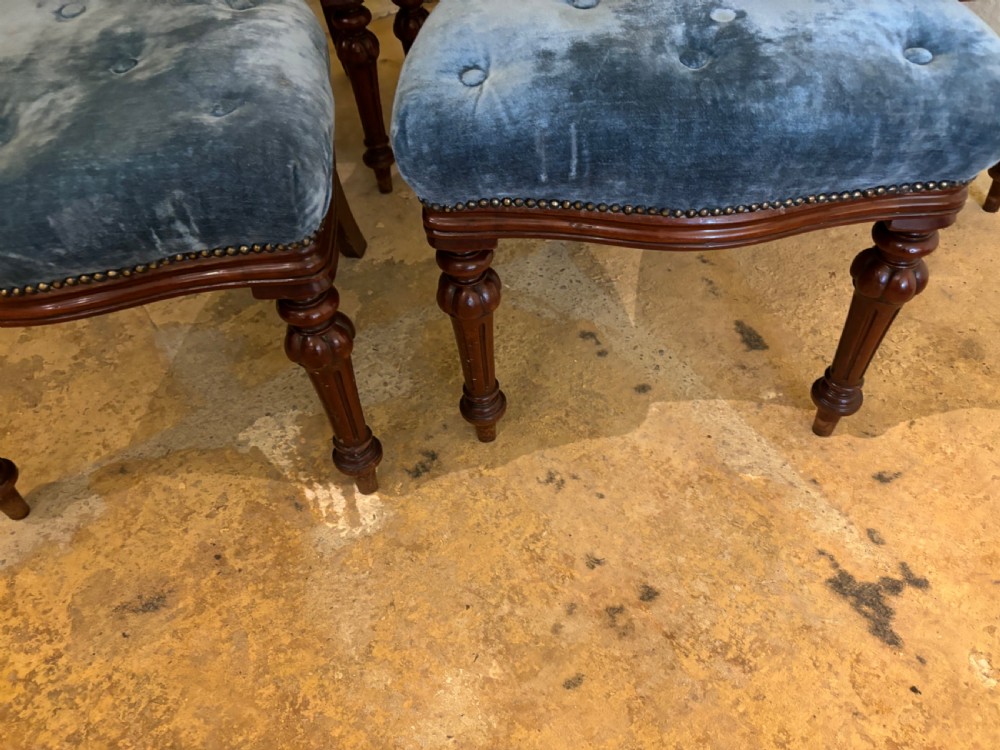 A set of six Victorian mahogany balloon back dining chairs .  View IV