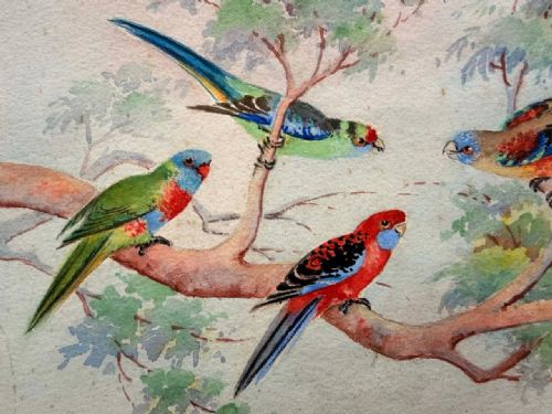 fig 1. A watercolour painting depicting five Australian parrots with red, blue, and green plumage perched on branches, signed M Simpson.