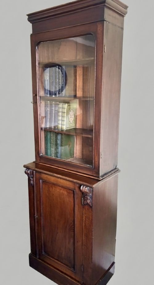 Tall and narrow 19th century mahogany bookcase View II