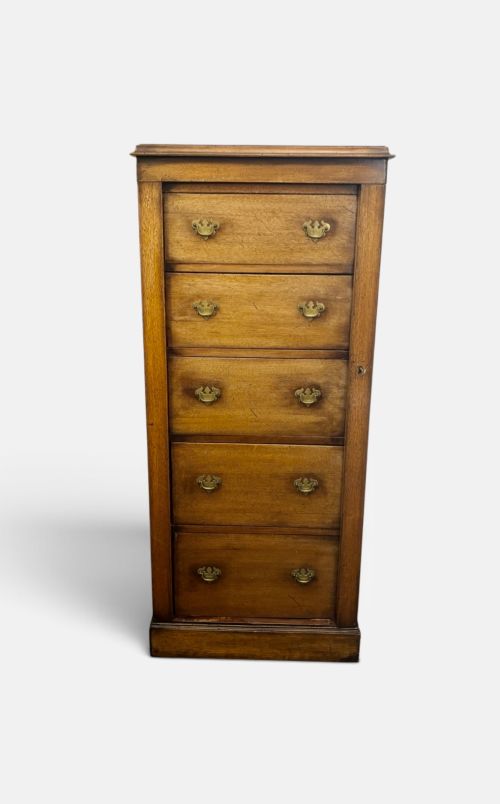 Edwardian Mahogany Wellington Chest