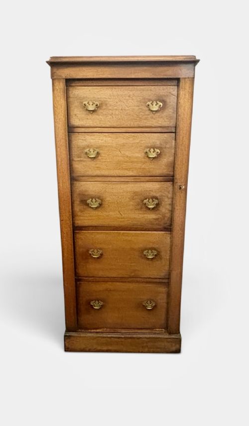 A tall, narrow Edwardian mahogany Wellington chest featuring five graduated drawers with brass handles and a hinged side locking bar on a plinth base. View II