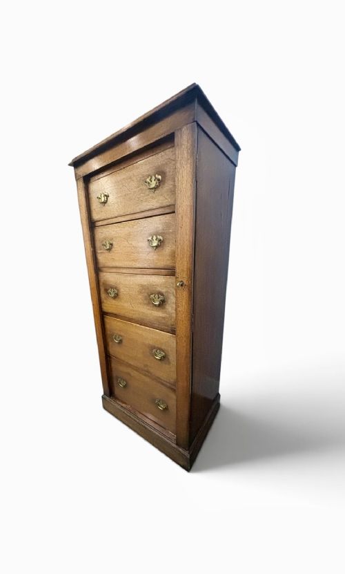 A tall, narrow Edwardian mahogany Wellington chest featuring five graduated drawers with brass handles and a hinged side locking bar on a plinth base. View III