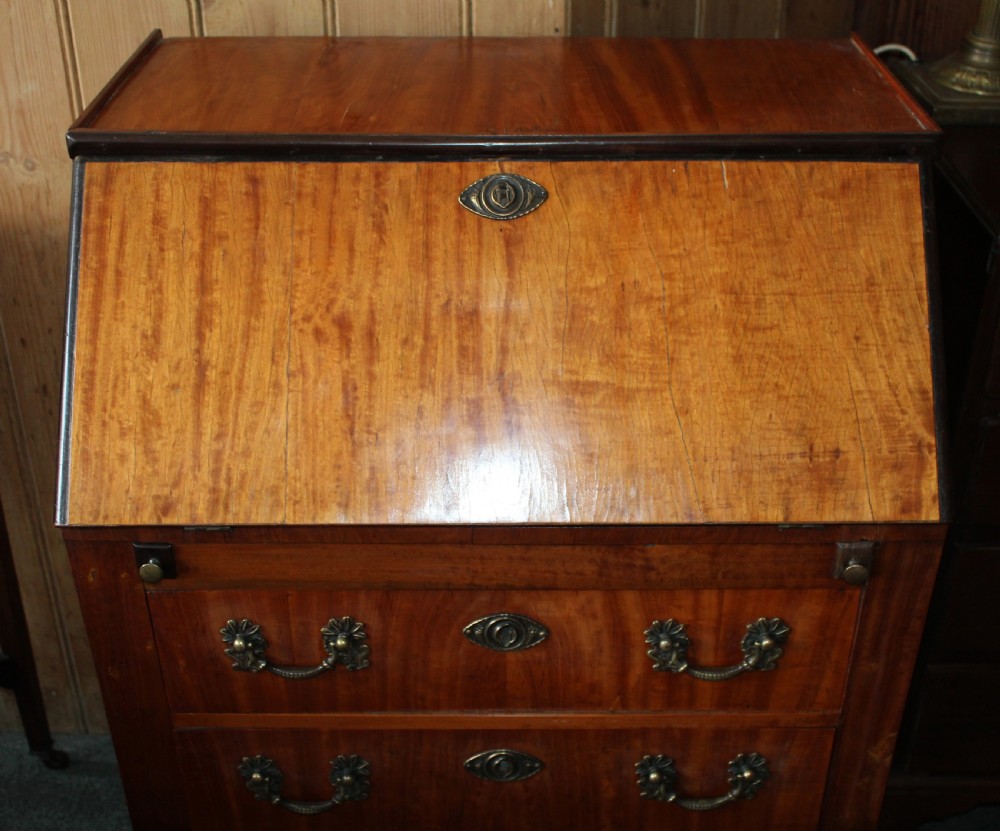 An Edwardian satinwood writing bureau featuring a sloping fall-front lid, two lower drawers with brass drop handles, dark crossbanded edging, and square tapered legs on castors. View III