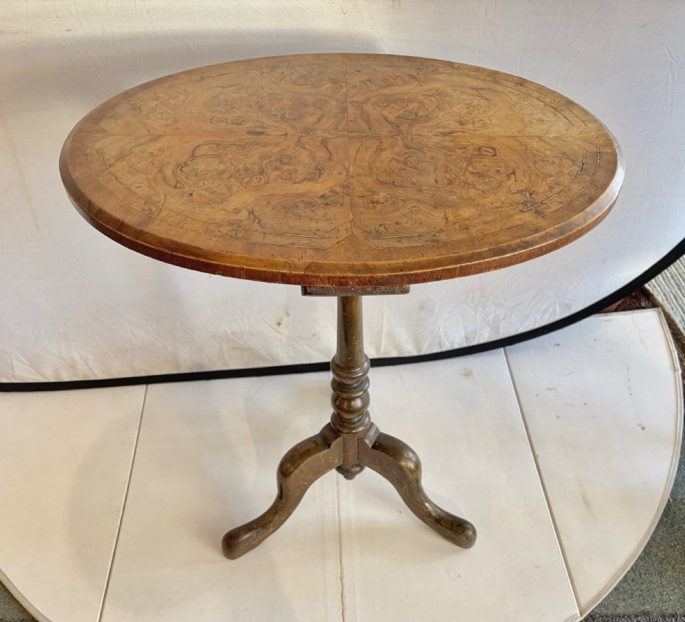 Victorian oval burr walnut occasional table  View III