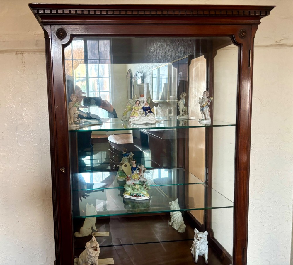 An early twentieth-century glazed mahogany display cabinet featuring an upper single glazed door section above a single drawer and double cupboard base. View XII