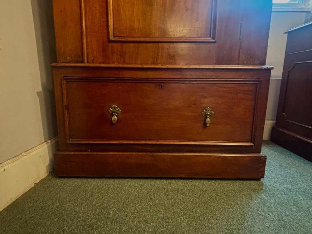 Victorian mahogany tall and narrow hall cupboard View VIII
