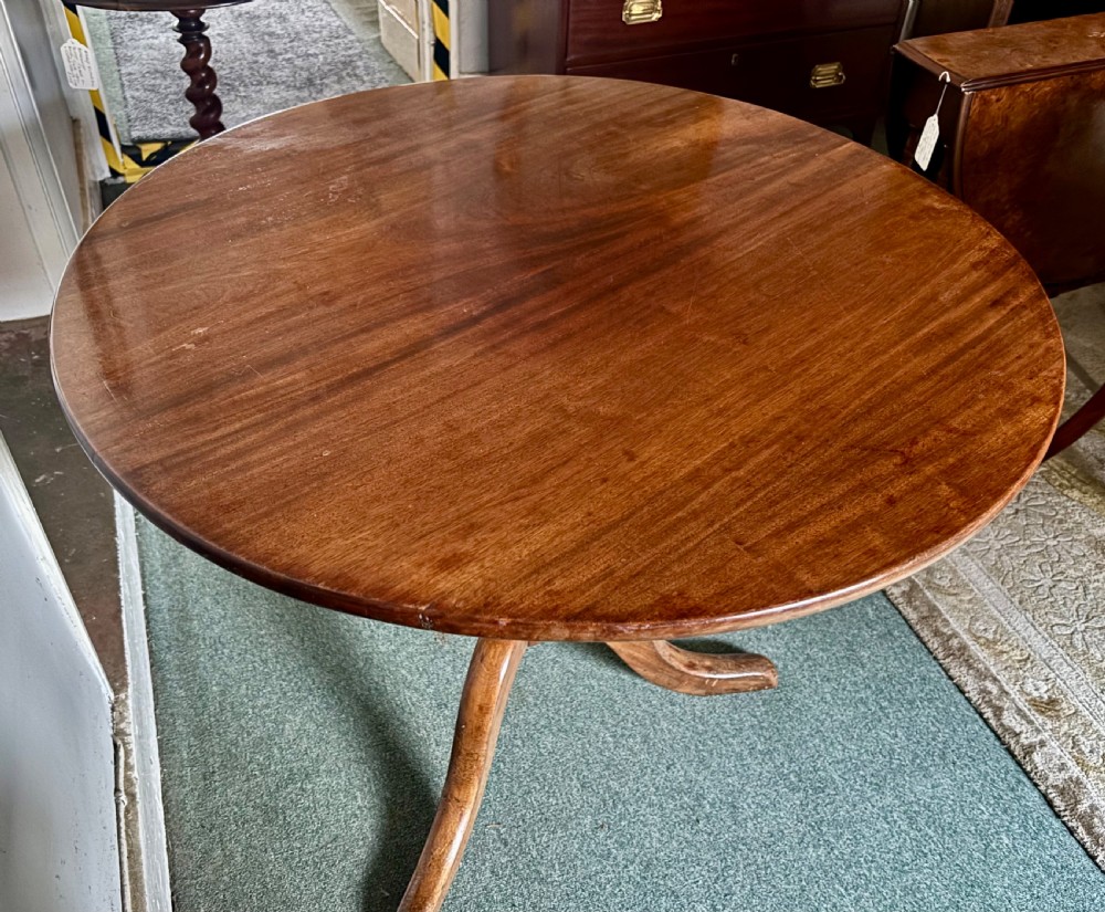 Early 19th century figured mahogany tripod table View V